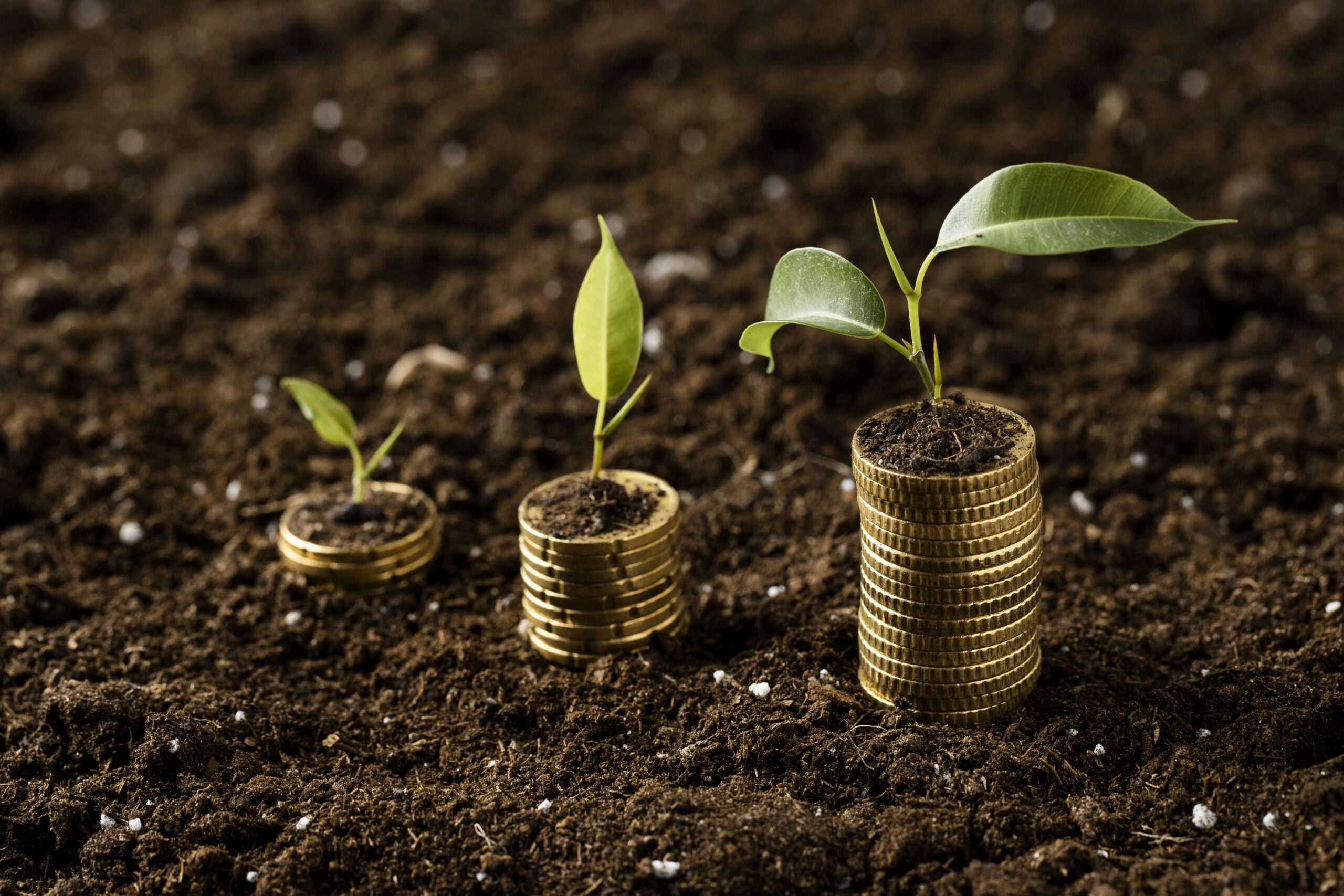 The Impact of ESG on Investment Strategies